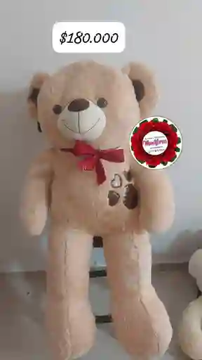 Oso De Peluche
