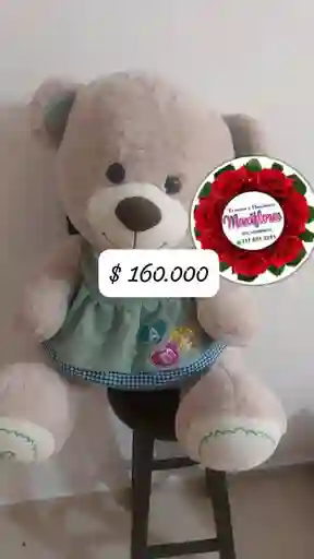 Oso De Peluche