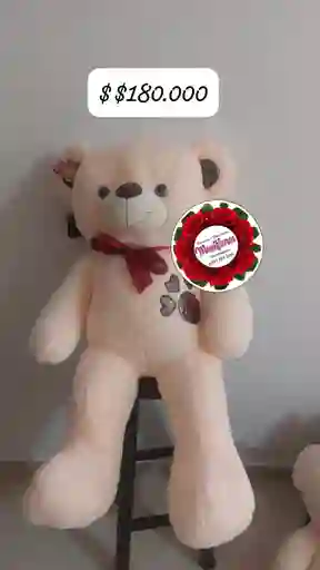 Oso De Peluche