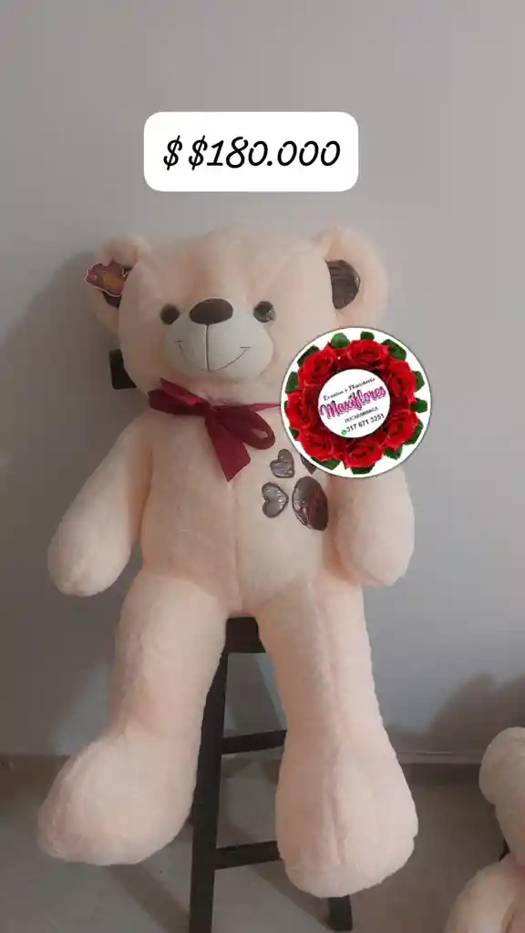 Oso De Peluche
