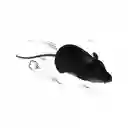 Juguete Ratón Para Gatos Color Negro A Control Remoto G11