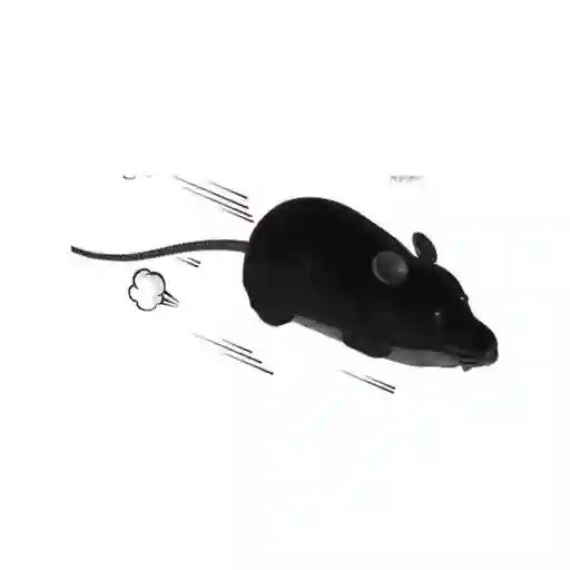 Juguete Ratón Para Gatos Color Negro A Control Remoto G11
