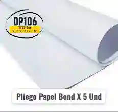 Pliego Papel Bond X 5 Und