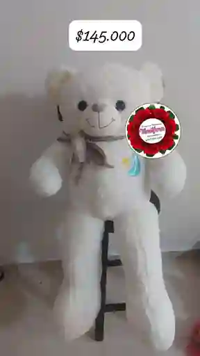 Oso De Peluche