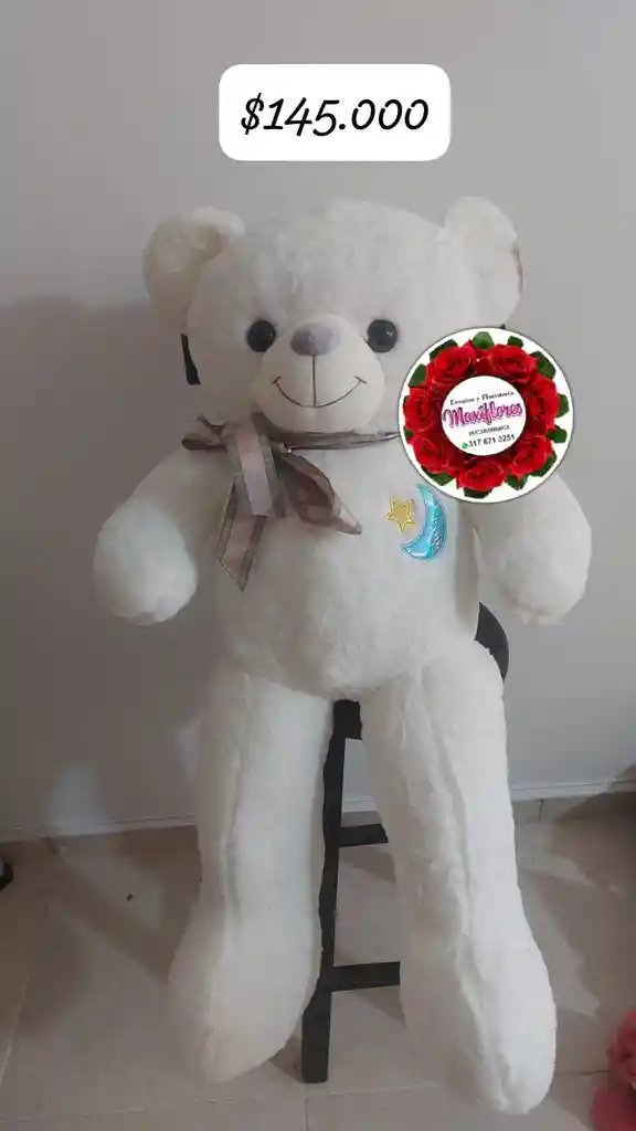 Oso De Peluche