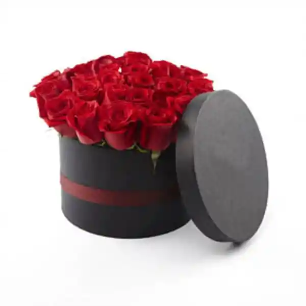 Arreglo Floral 20 Rosas Rojas En Caja Redonda