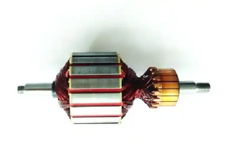 Inducido Reversible Para Licuadoraoster