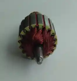 Inducido Reversible Para Licuadoraoster