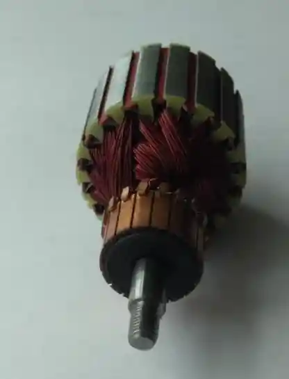 Inducido Reversible Para Licuadoraoster