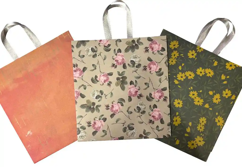 Bolsa De Regalo Varios Motivos, Ocasiones Especiales, Elegantes Y Sutiles 24x26