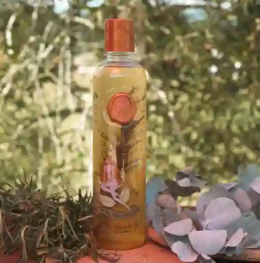 Shampoo Control De Caspa Con Romero