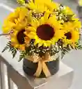Arreglo Floral Girasoles En Caja Redonda