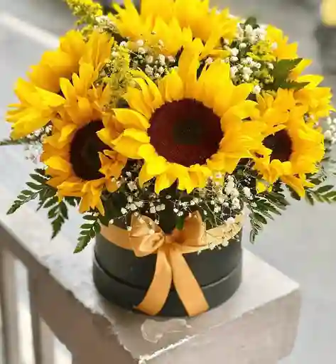 Arreglo Floral Girasoles En Caja Redonda