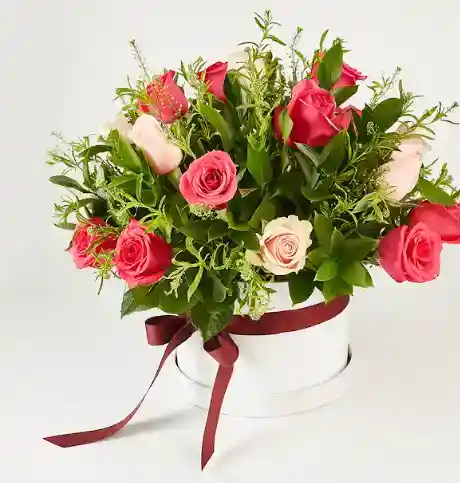 Caja De Rosas Rojas Color Paste