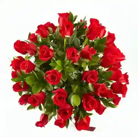 Caja De Rosas Rojas Color Paste