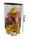 Regalo Detalle Pollito Con Moño Y Chocolates Para Cualquier Ocasión