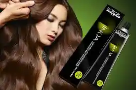 🎨 Tinte L’oréal Inoa Tono 6.13 – 60g