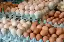 Huevos X30