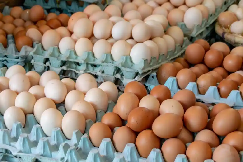 Huevos X30