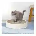 Rascador Para Gatos Con Base Np-1551