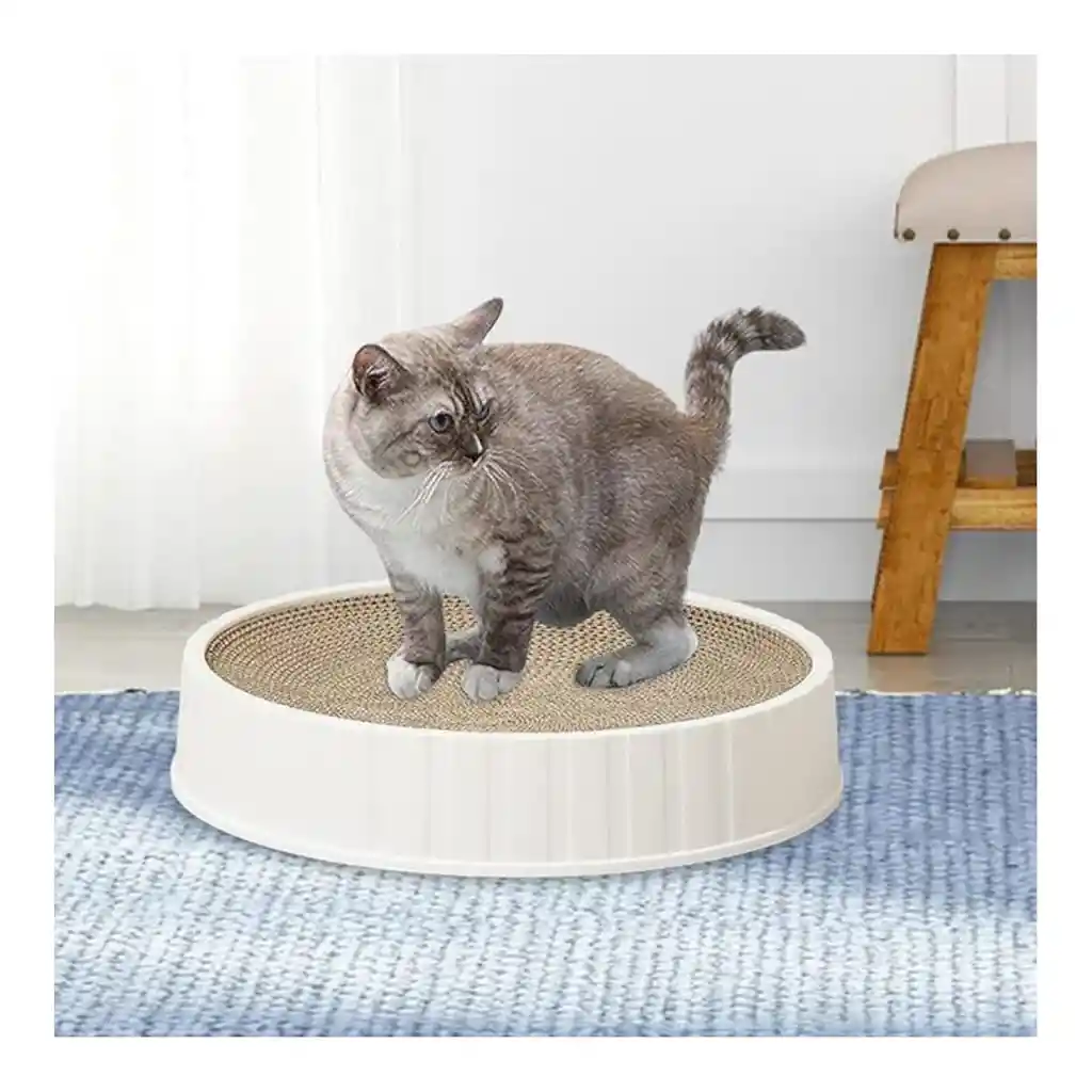 Rascador Para Gatos Con Base Np-1551