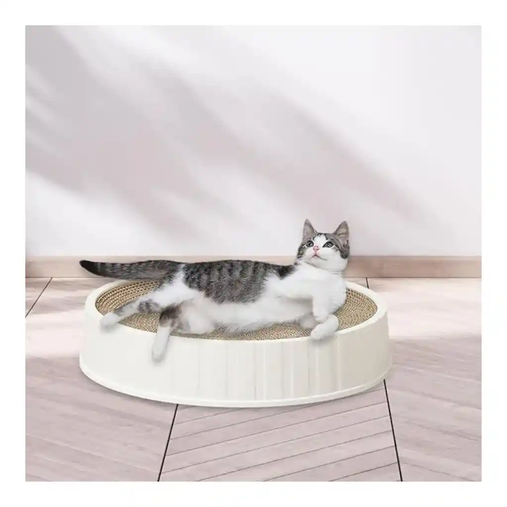 Rascador Para Gatos Con Base Np-1551