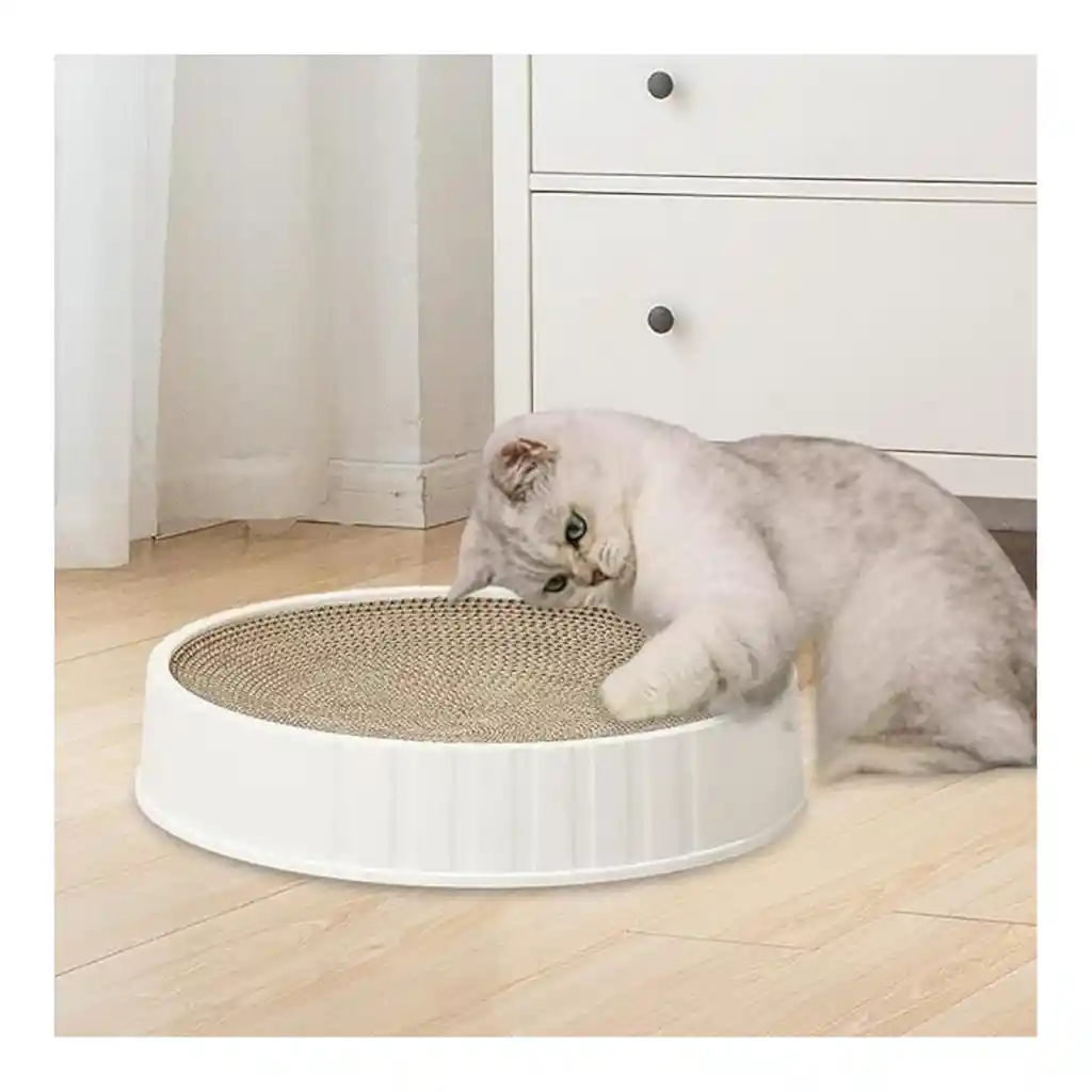Rascador Para Gatos Con Base Np-1551
