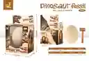 Set De Fosil De Dinosaurio
