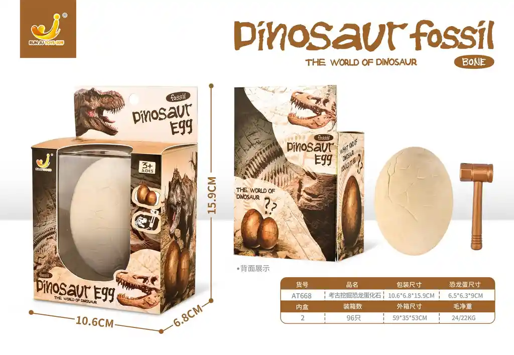 Set De Fosil De Dinosaurio