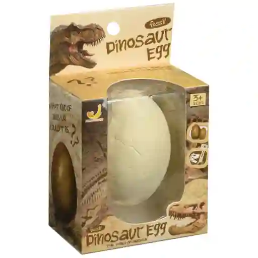 Set De Fosil De Dinosaurio
