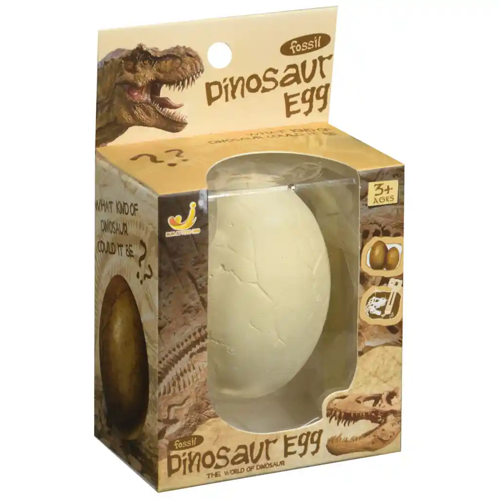 Set De Fosil De Dinosaurio
