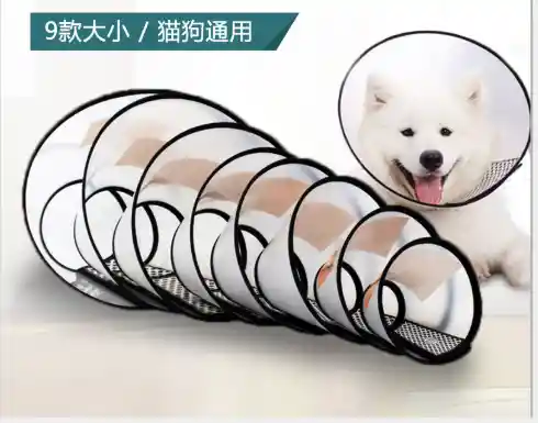 Collar Isabelino Transparente 49,5-56cm