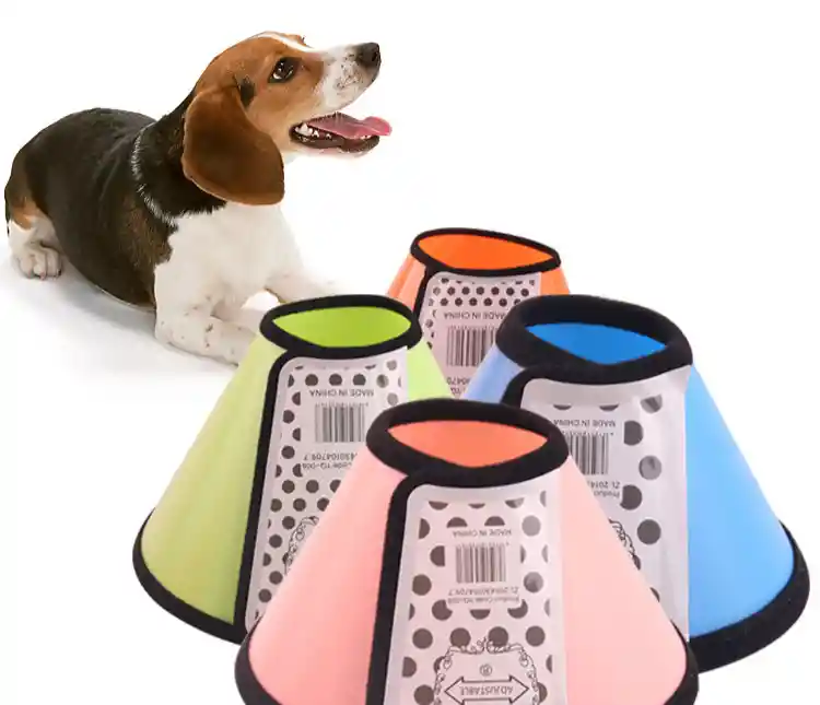 Collar Isabelino Multicolor 28-32cm