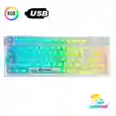 Teclado Transparente Para Pc Rgb Keyboard Gamer De Computadora Usb