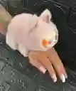 Pulcera Labubu Peluche Con Luches Y Sonido