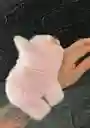 Pulcera Labubu Peluche Con Luches Y Sonido