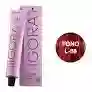 Tinte Igora Royall88