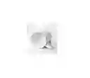 Mug Blanco Tintero 7.2 Onzas Para Sublimacion