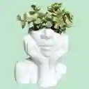 Suculenta Rostro Cerámica Blanca