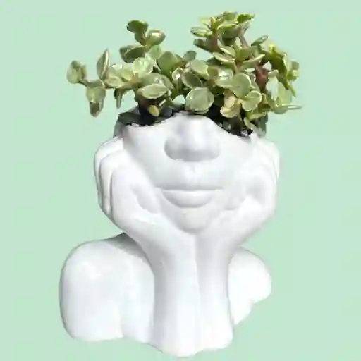 Suculenta Rostro Cerámica Blanca