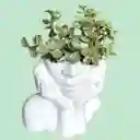 Suculenta Rostro Cerámica Blanca