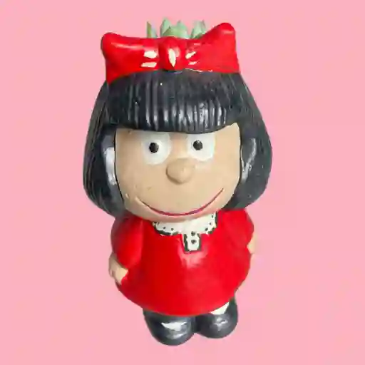 Suculenta Matera Mafalda
