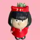Suculenta Matera Mafalda