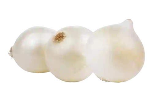 Cebolla Cabezona (blanca)