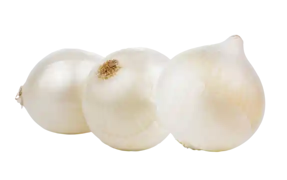 Cebolla Cabezona (blanca)