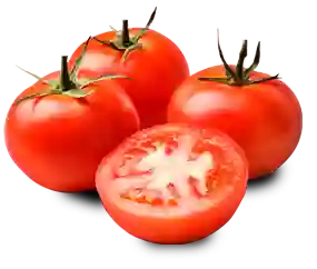 Tomate Chonto