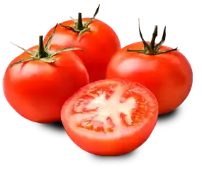 Tomate Chonto Precio Por Kg