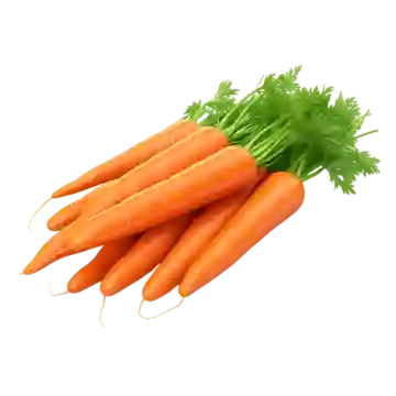 Zanahoria