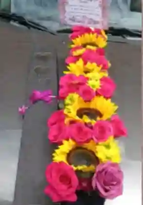 Caja De 15 Rosas + 4 Girasoles