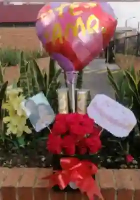 Caja De 24 Rosas + Chocolates